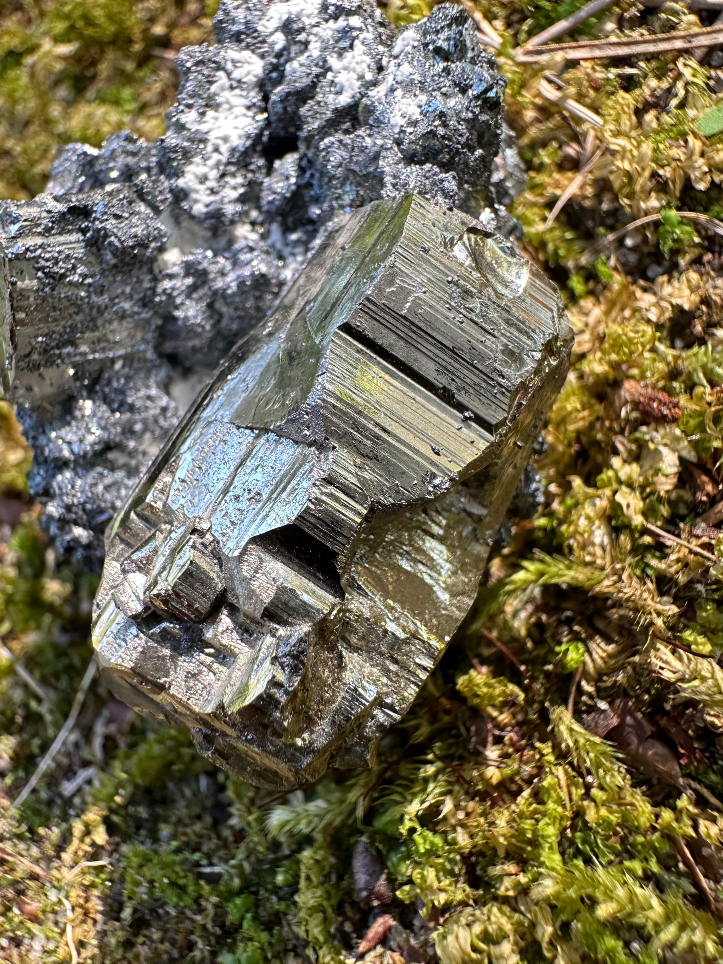 Pyrite Galena