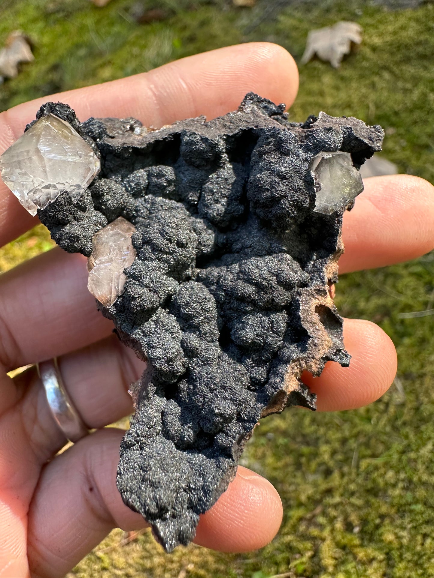 Botryoidal Goethite & Quartz