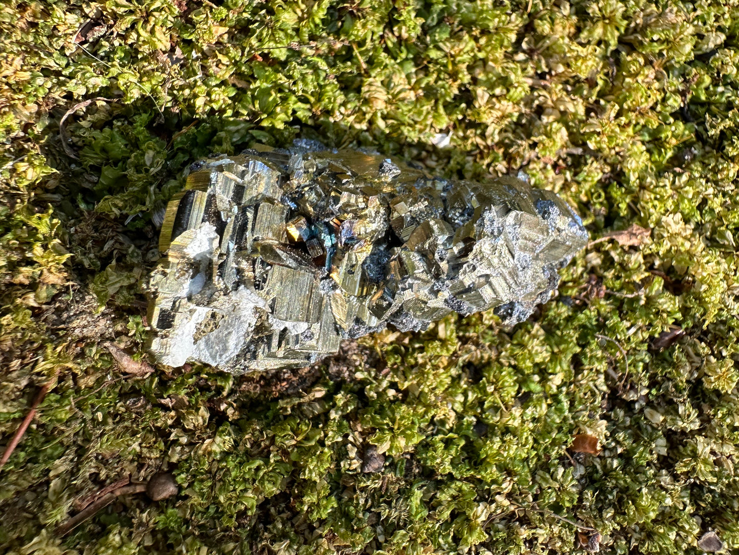 Pyrite & Galena