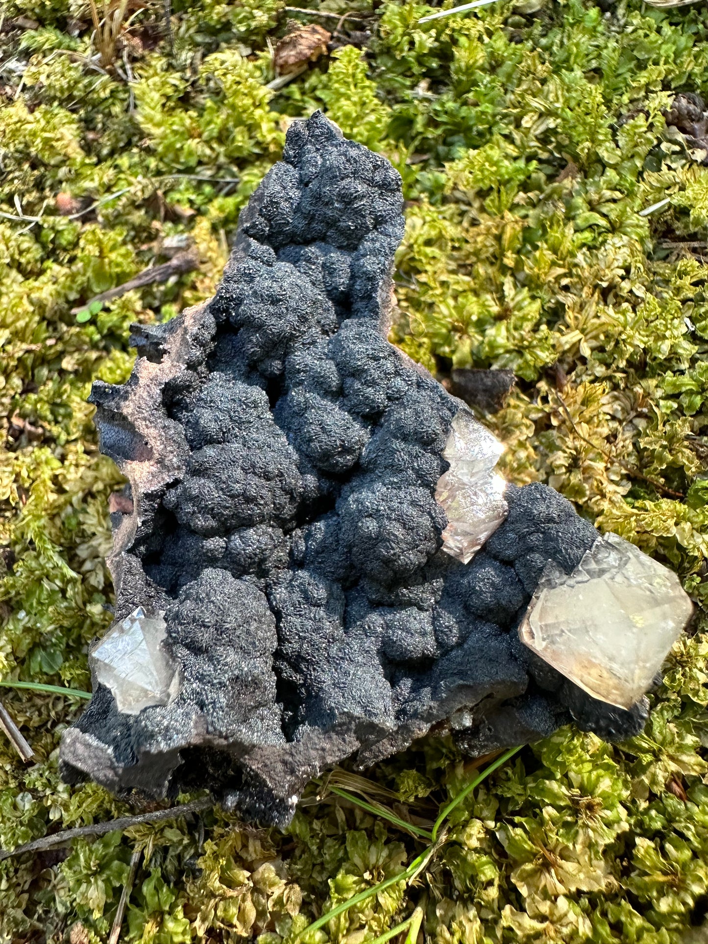Botryoidal Goethite & Quartz