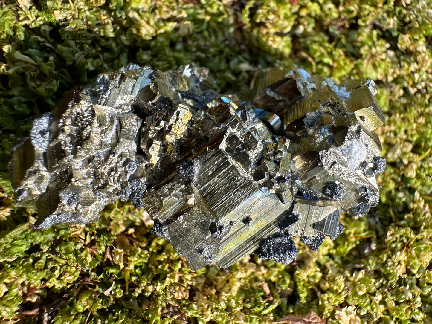 Pyrite & Galena