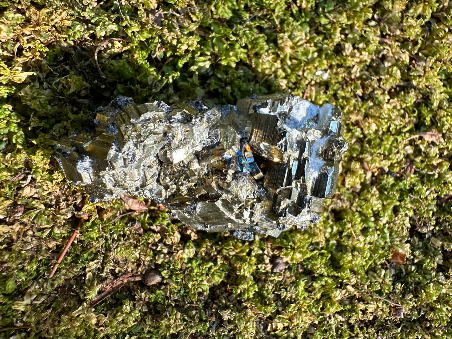 Pyrite & Galena