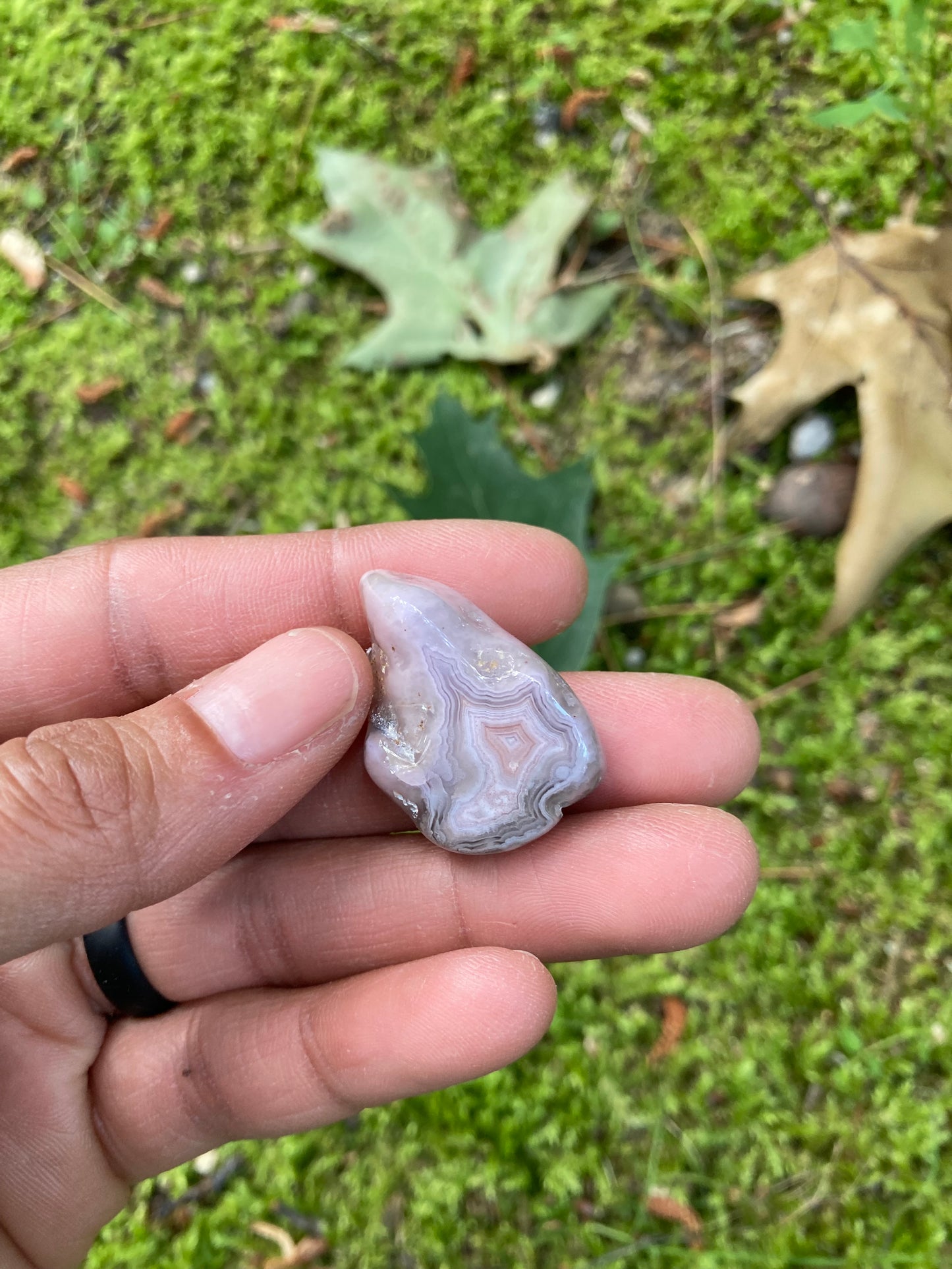 Polished Pink & Yellow Laguna Agate Pair