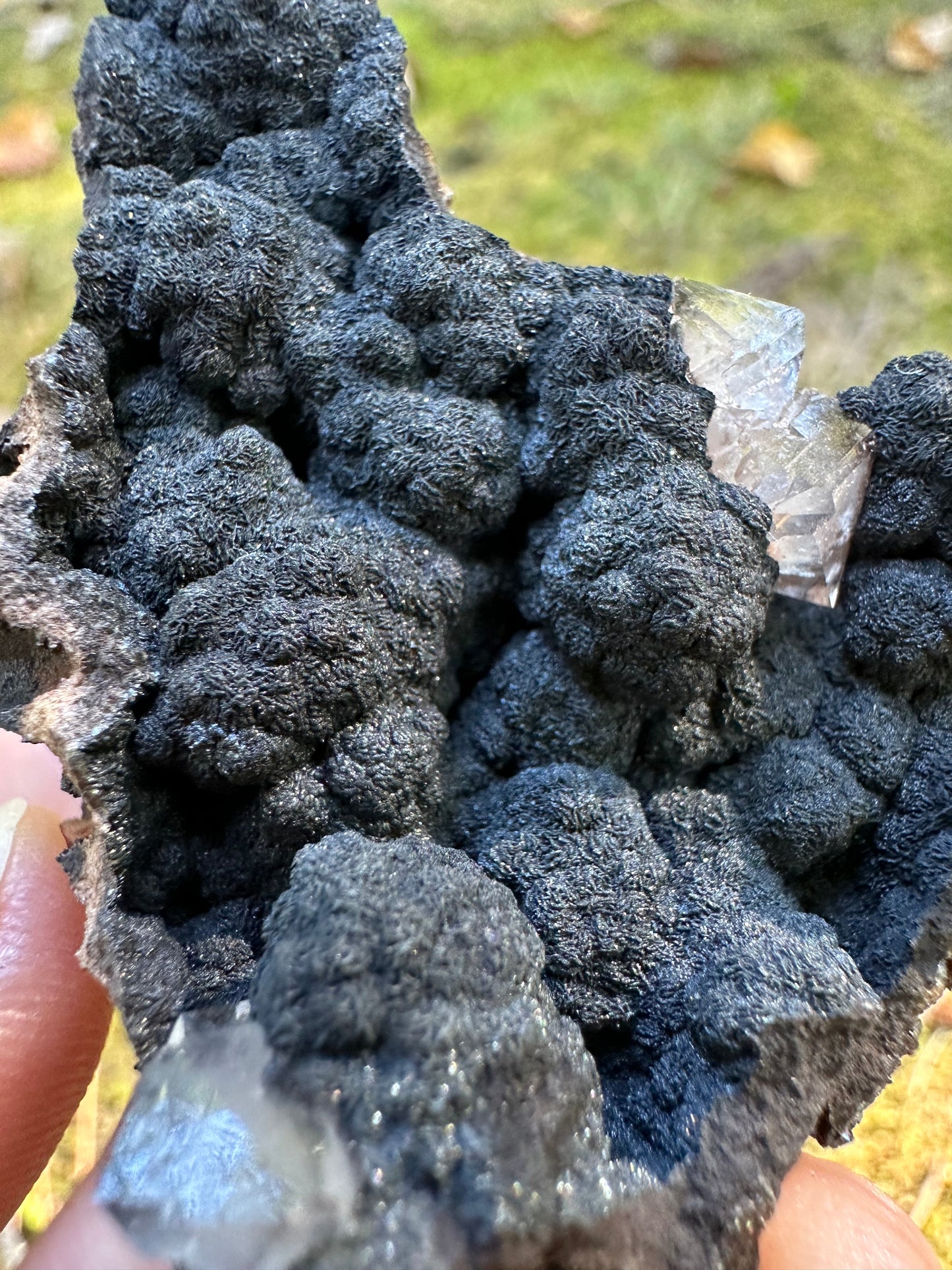 Botryoidal Goethite & Quartz