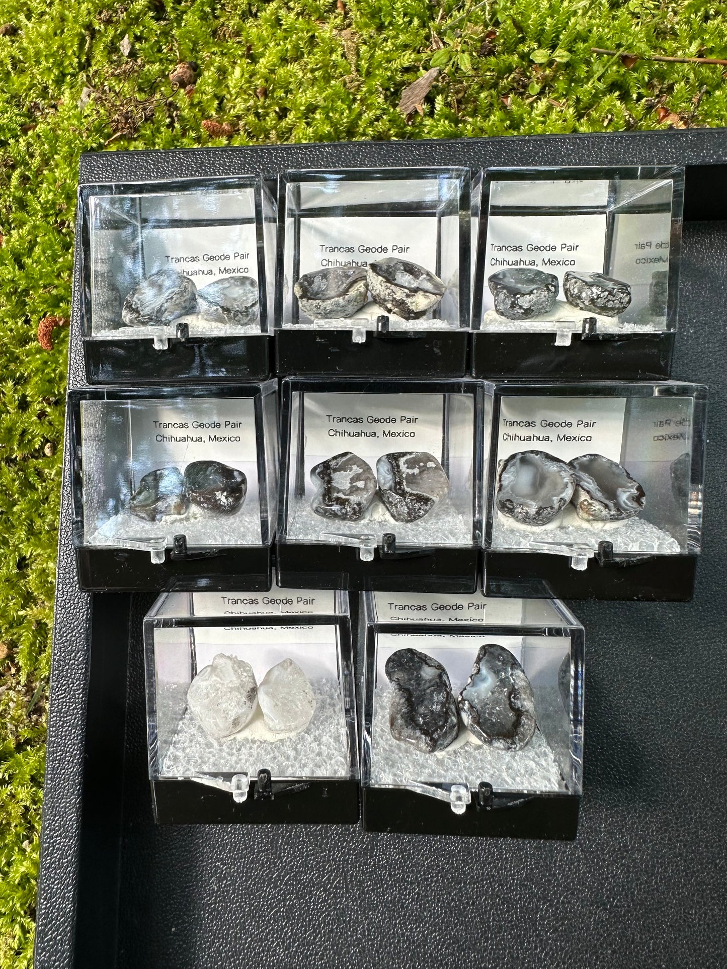 1 Micro Trancas Geode Pair Labeled & In Perky Box- Random Pick