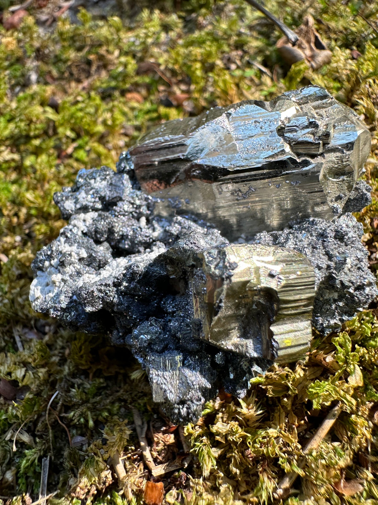 Pyrite Galena