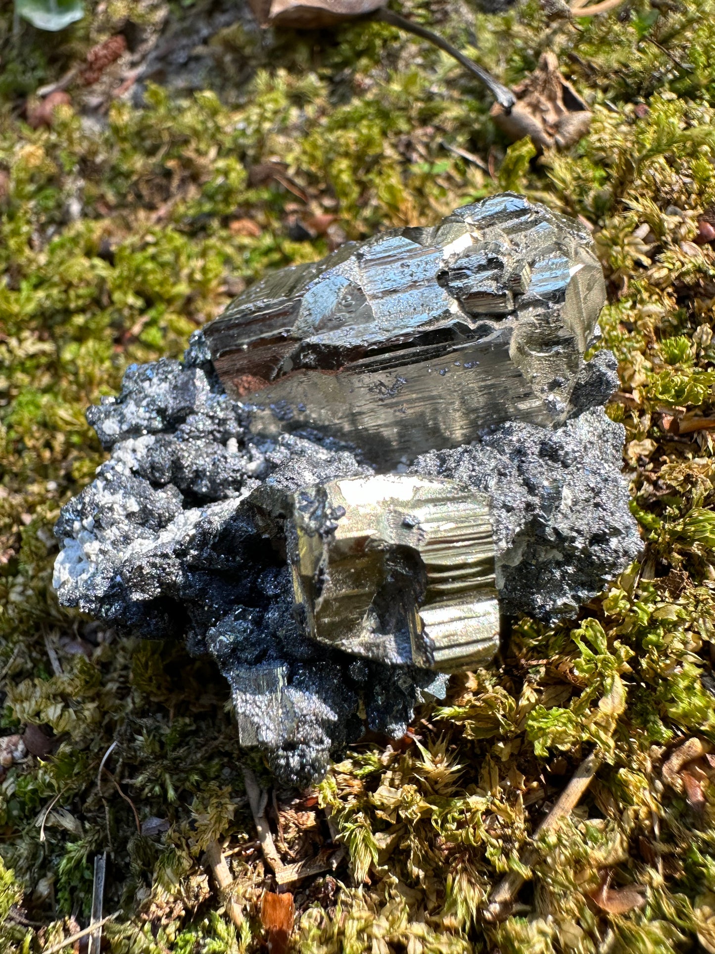 Pyrite Galena