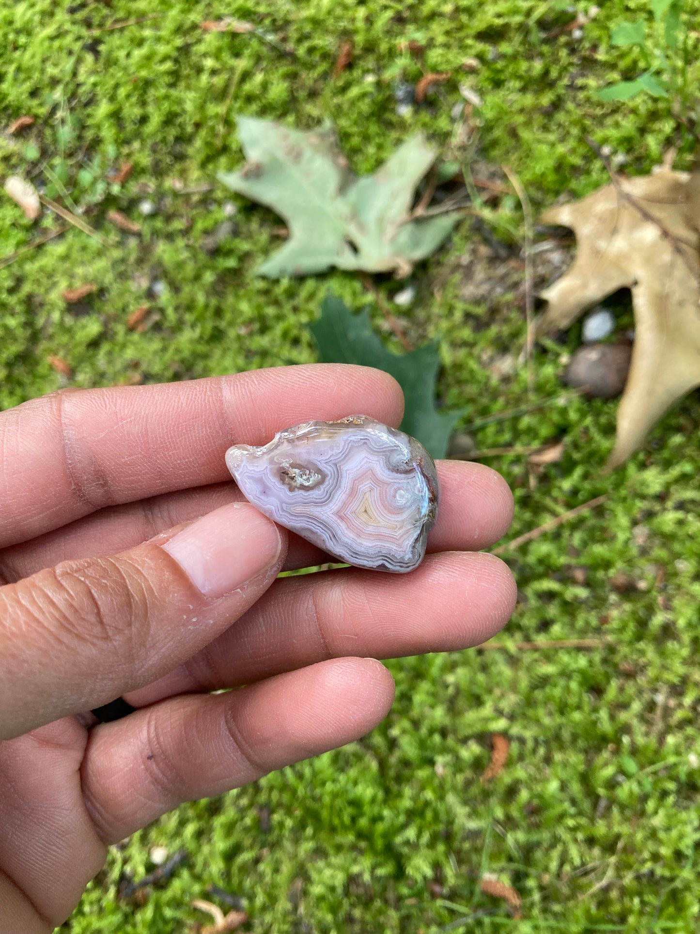Polished Pink & Yellow Laguna Agate Pair