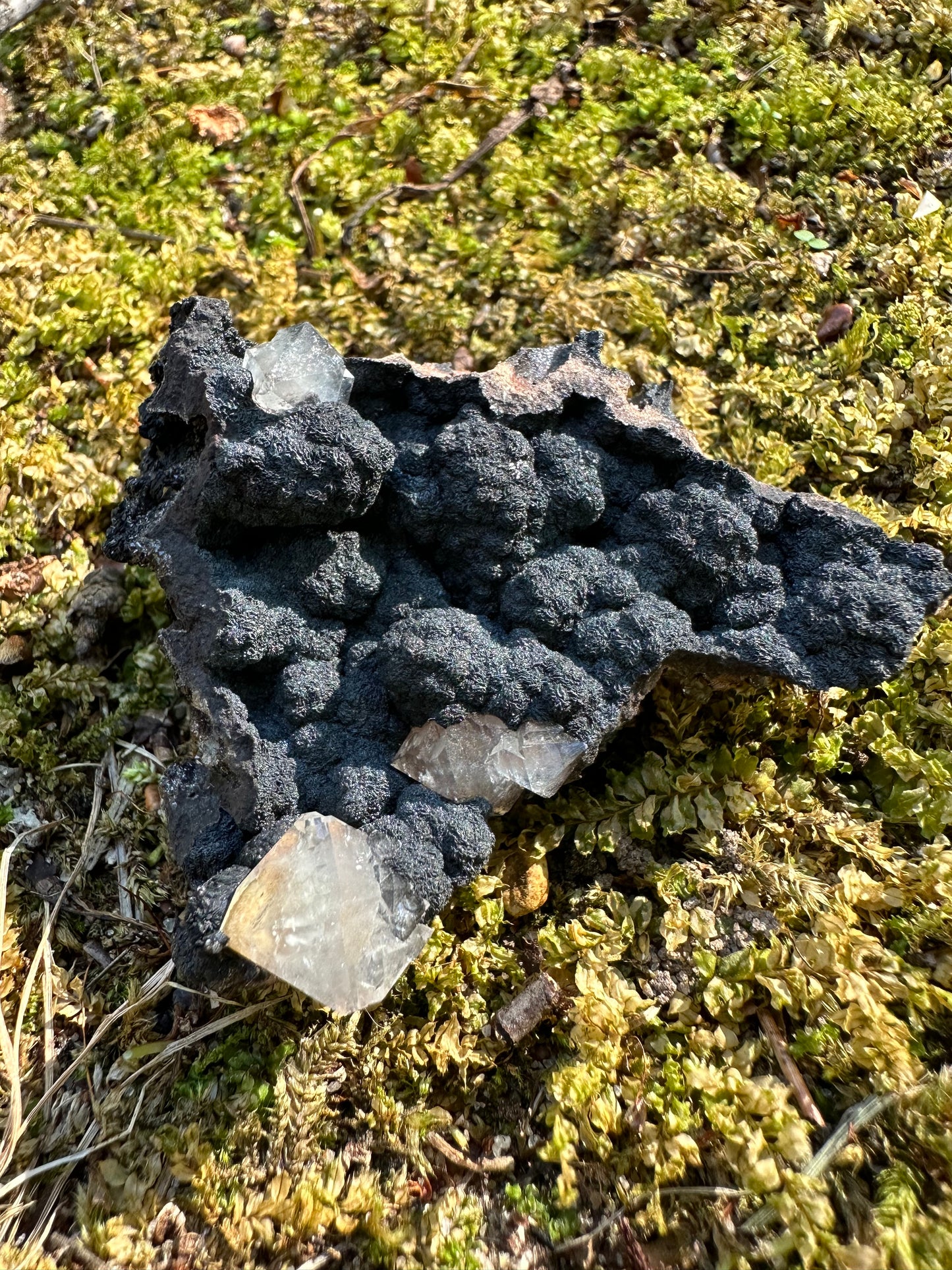 Botryoidal Goethite & Quartz