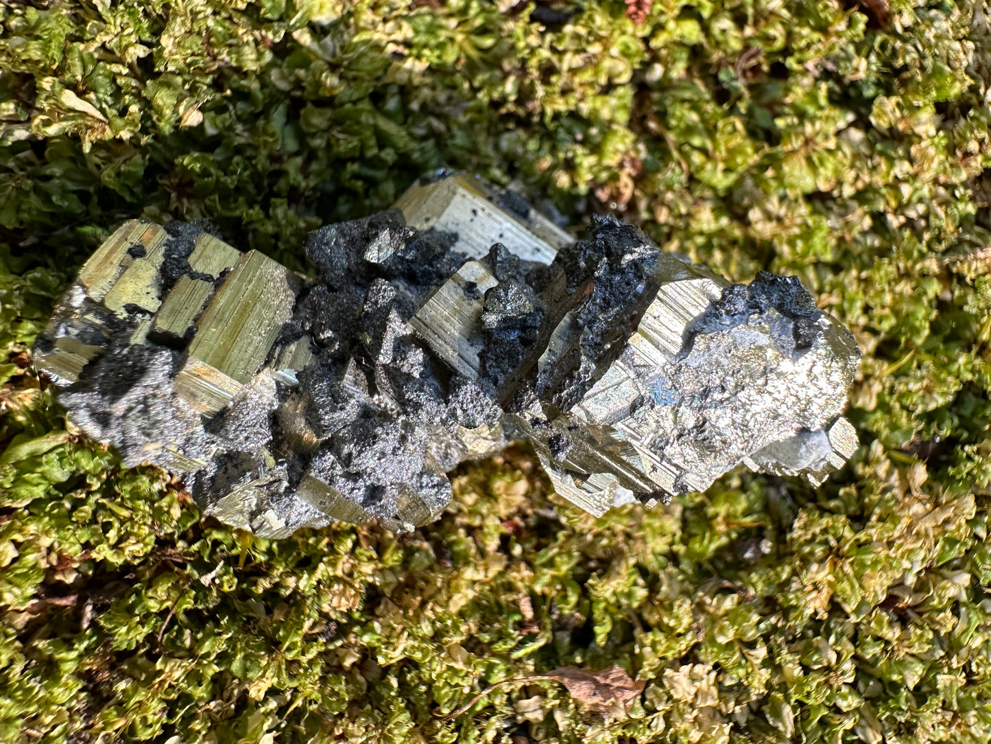Pyrite & Galena