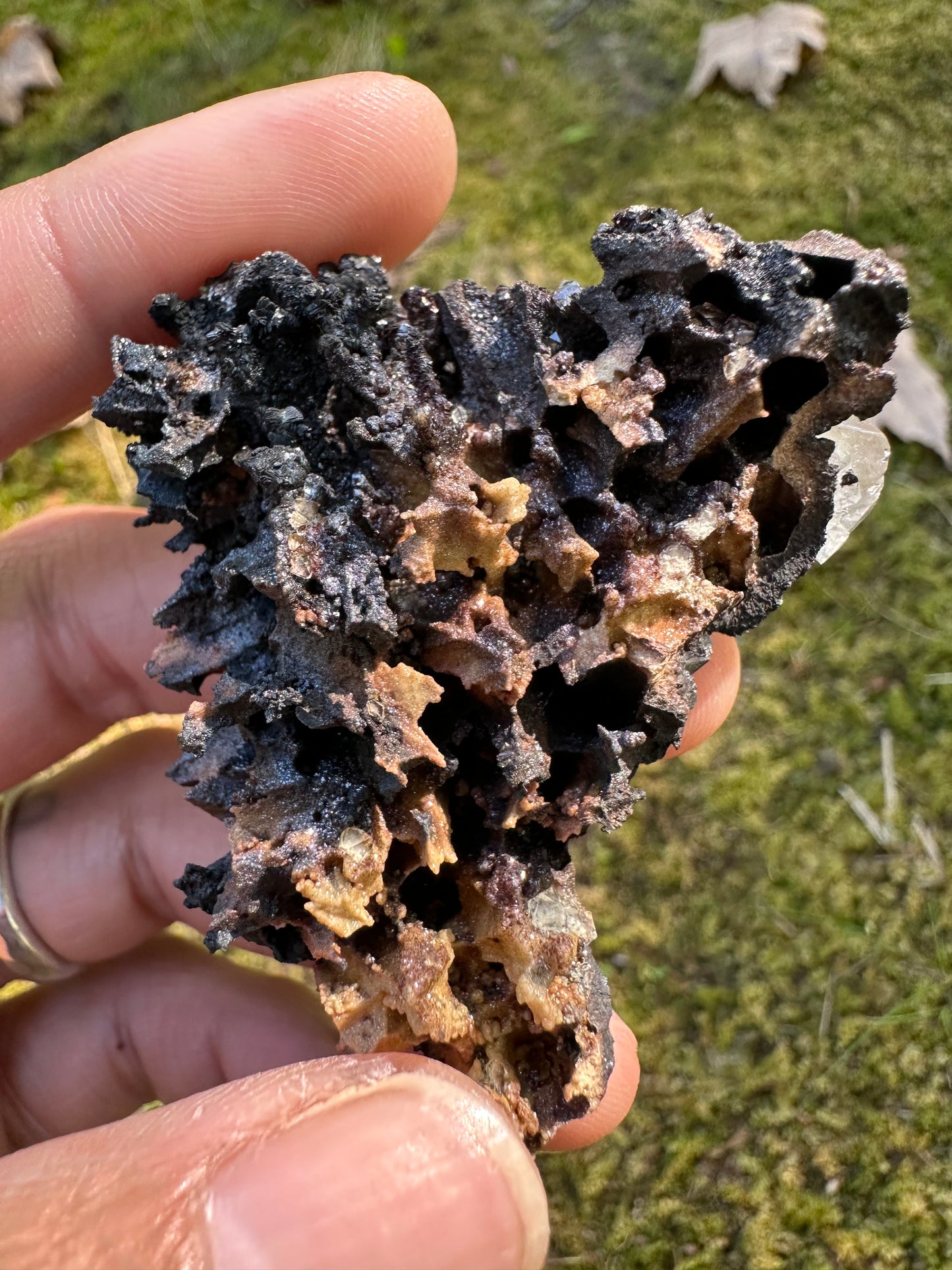 Botryoidal Goethite & Quartz