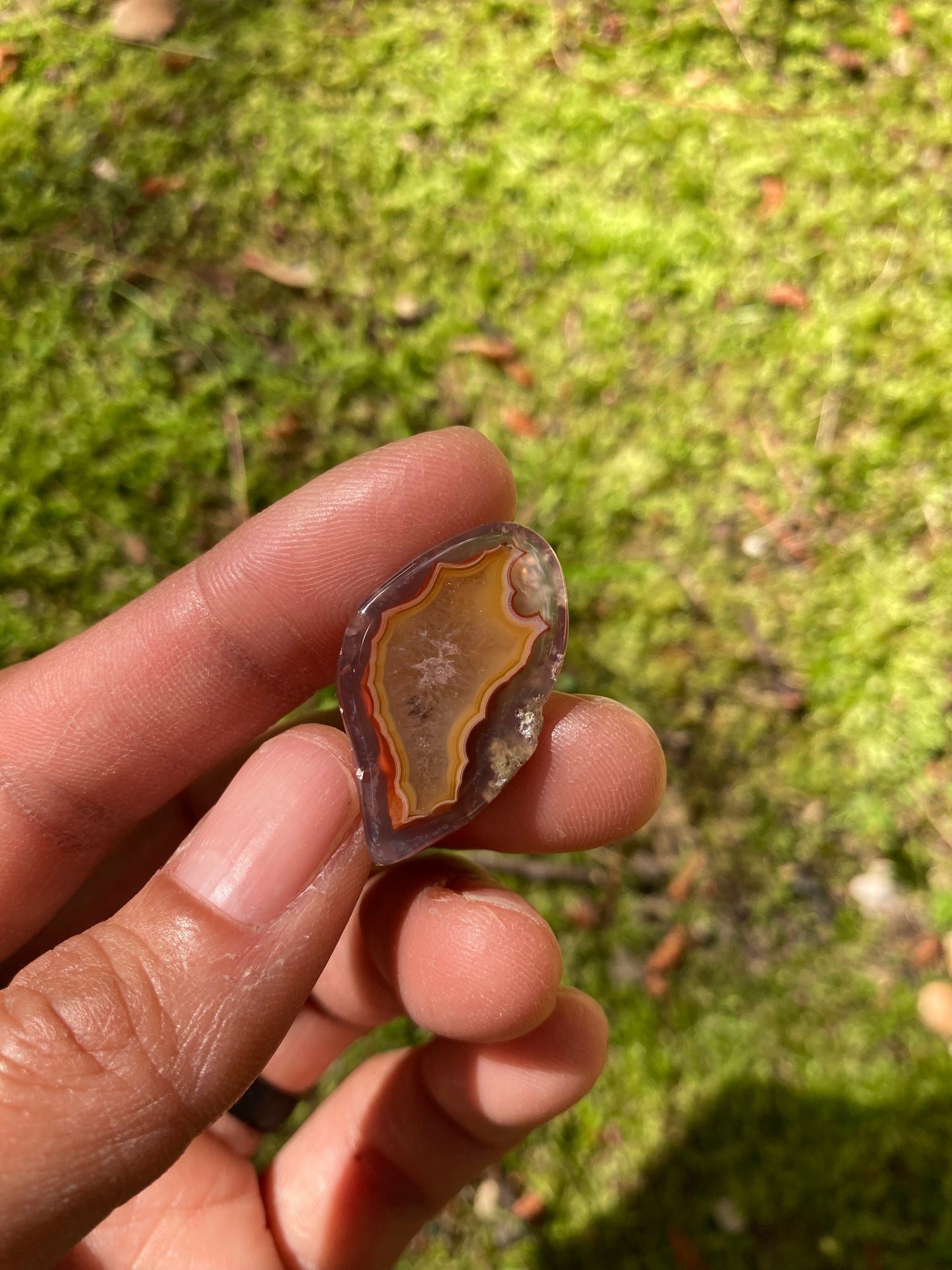 Polished Orange & Red Flame Laguna Agate Floater Pair