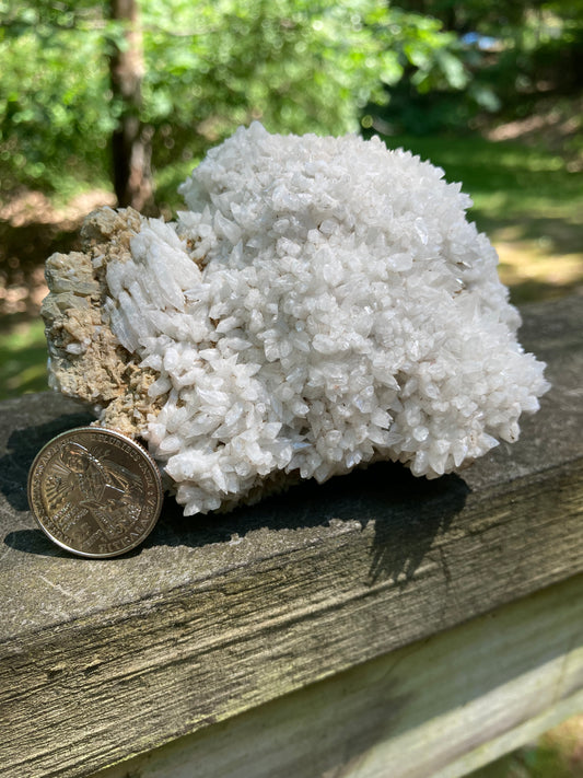 White Dogtooth Calcite Cluster