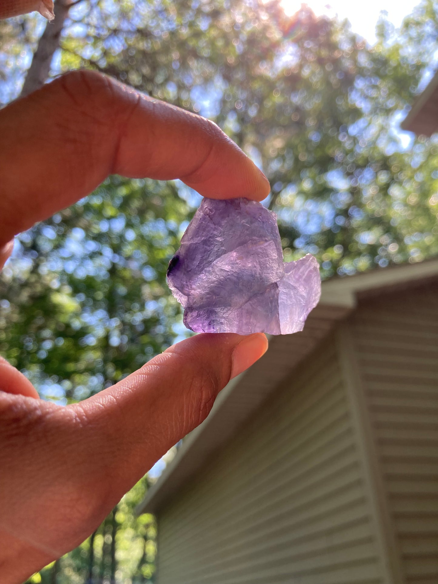 Fluorite Specimen Pair (2)
