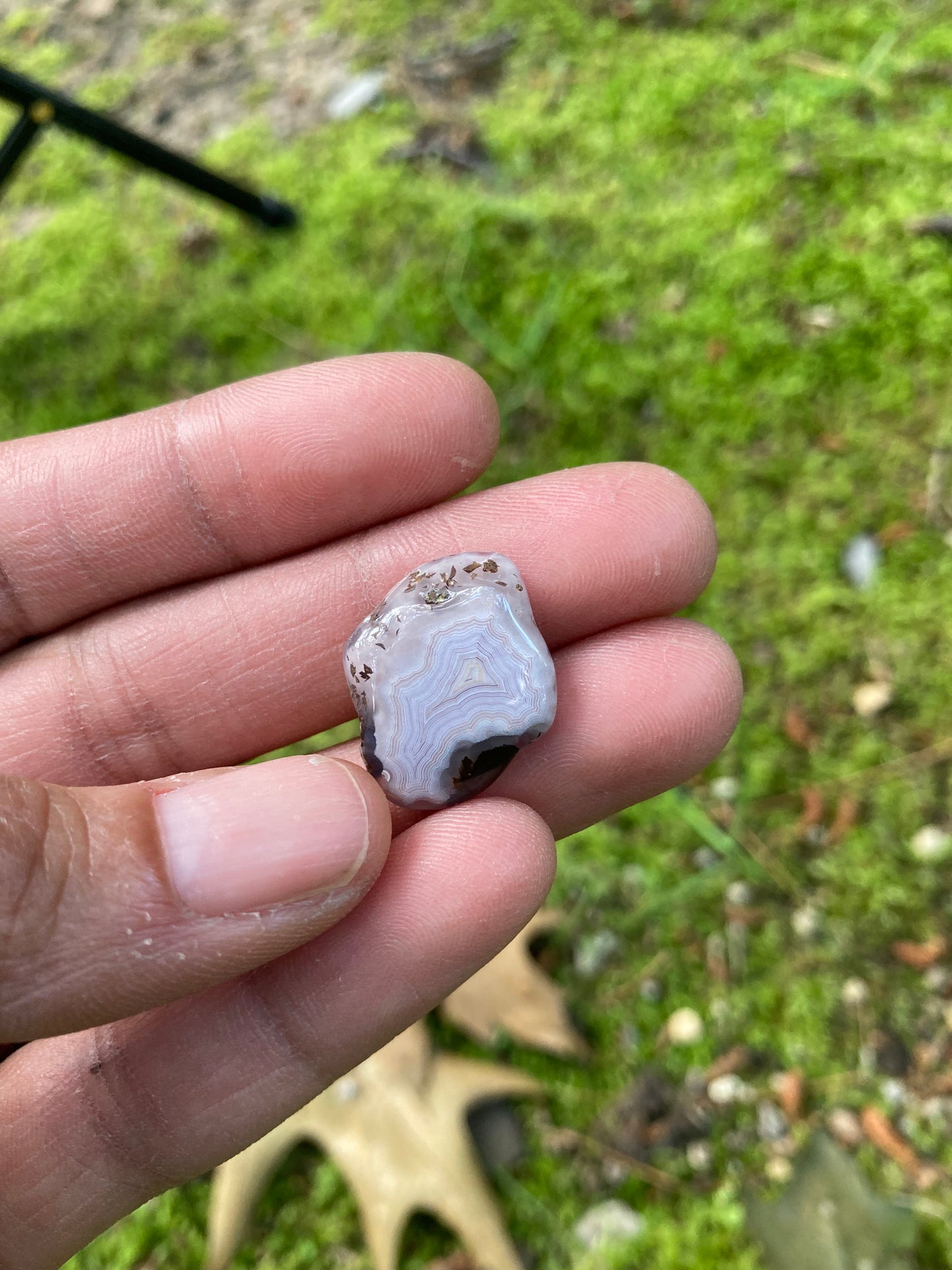 Polished Pink Laguna Agate With Eyes