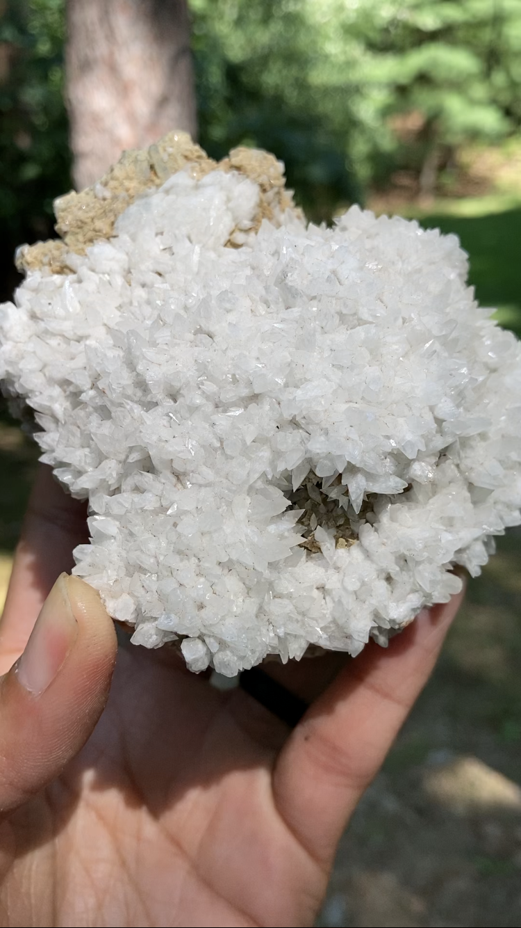 White Dogtooth Calcite Cluster