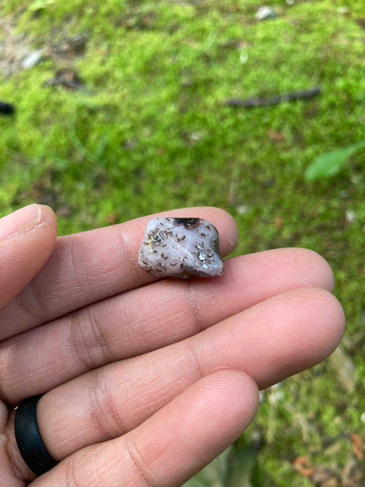 Polished Pink Laguna Agate With Eyes