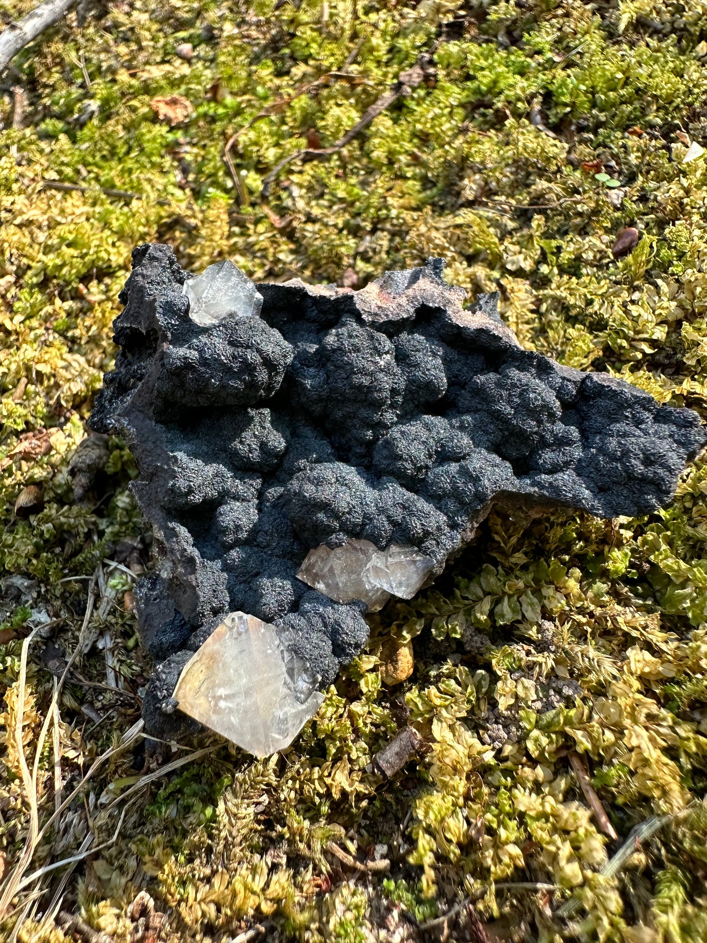 Botryoidal Goethite & Quartz