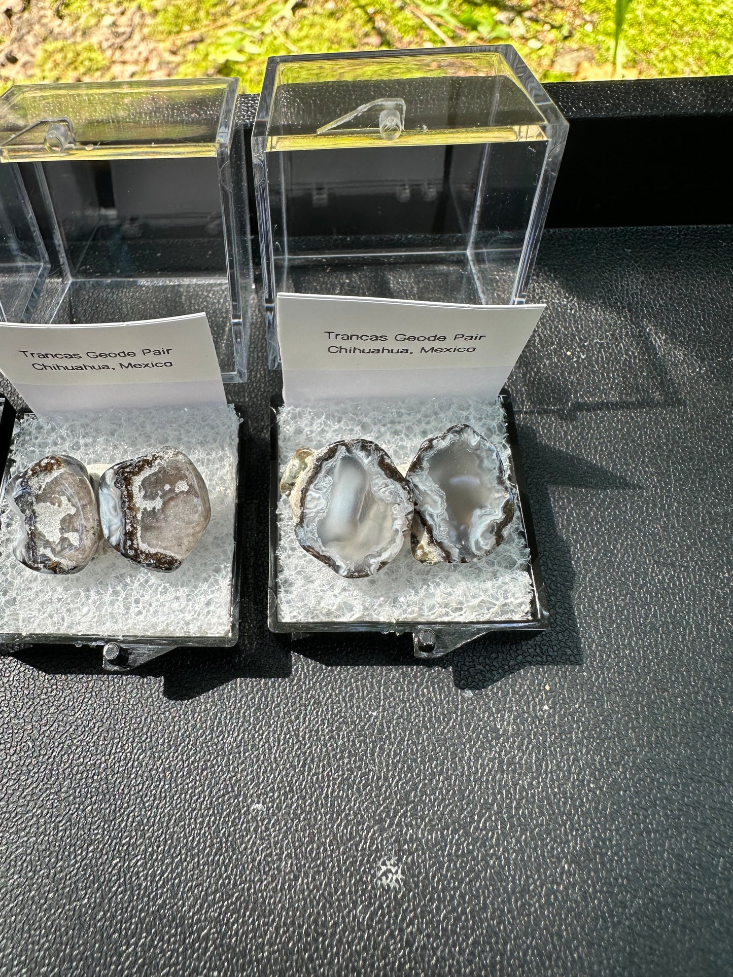 1 Micro Trancas Geode Pair Labeled & In Perky Box- Random Pick