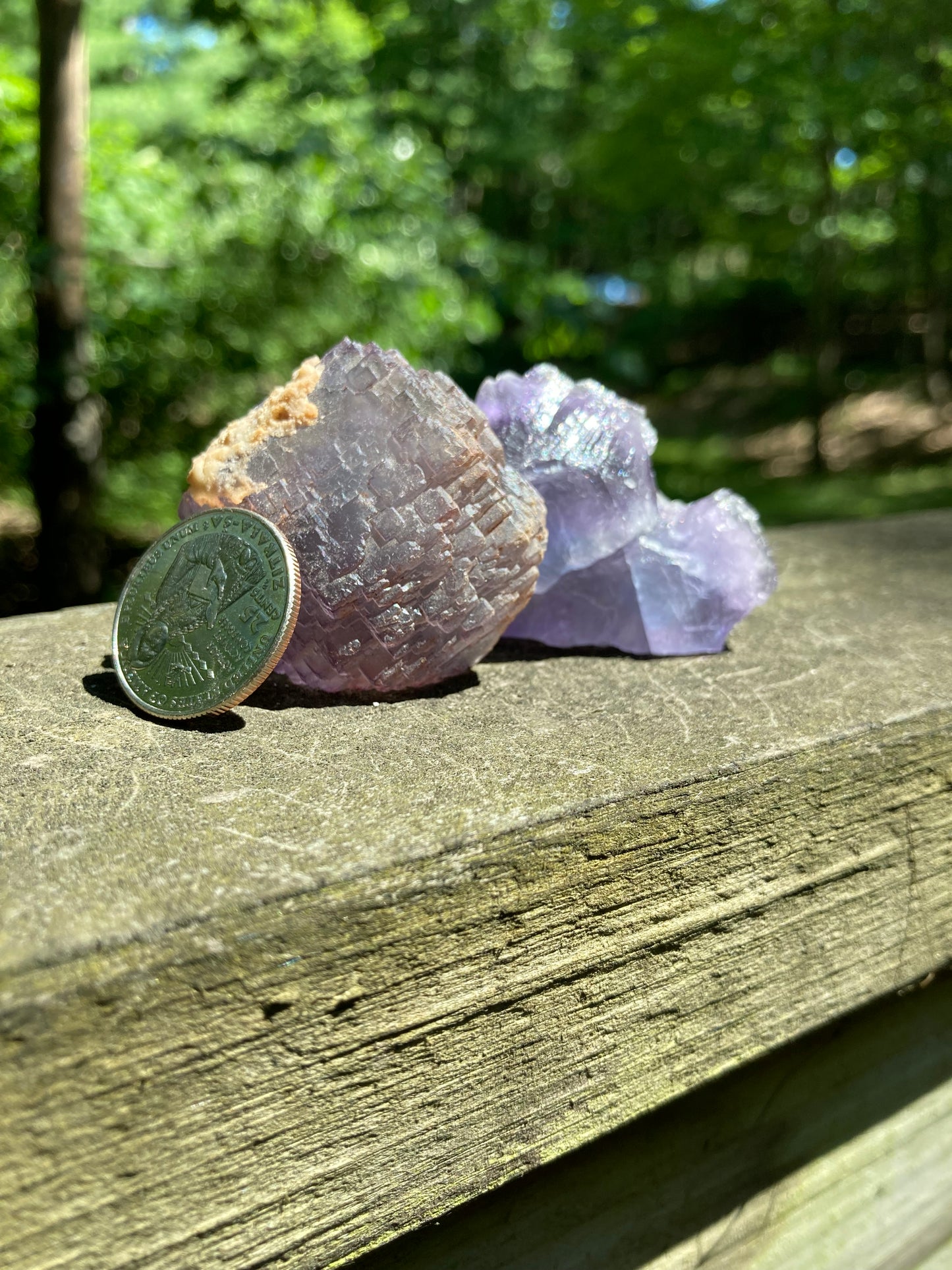 Fluorite Specimen Pair (2)
