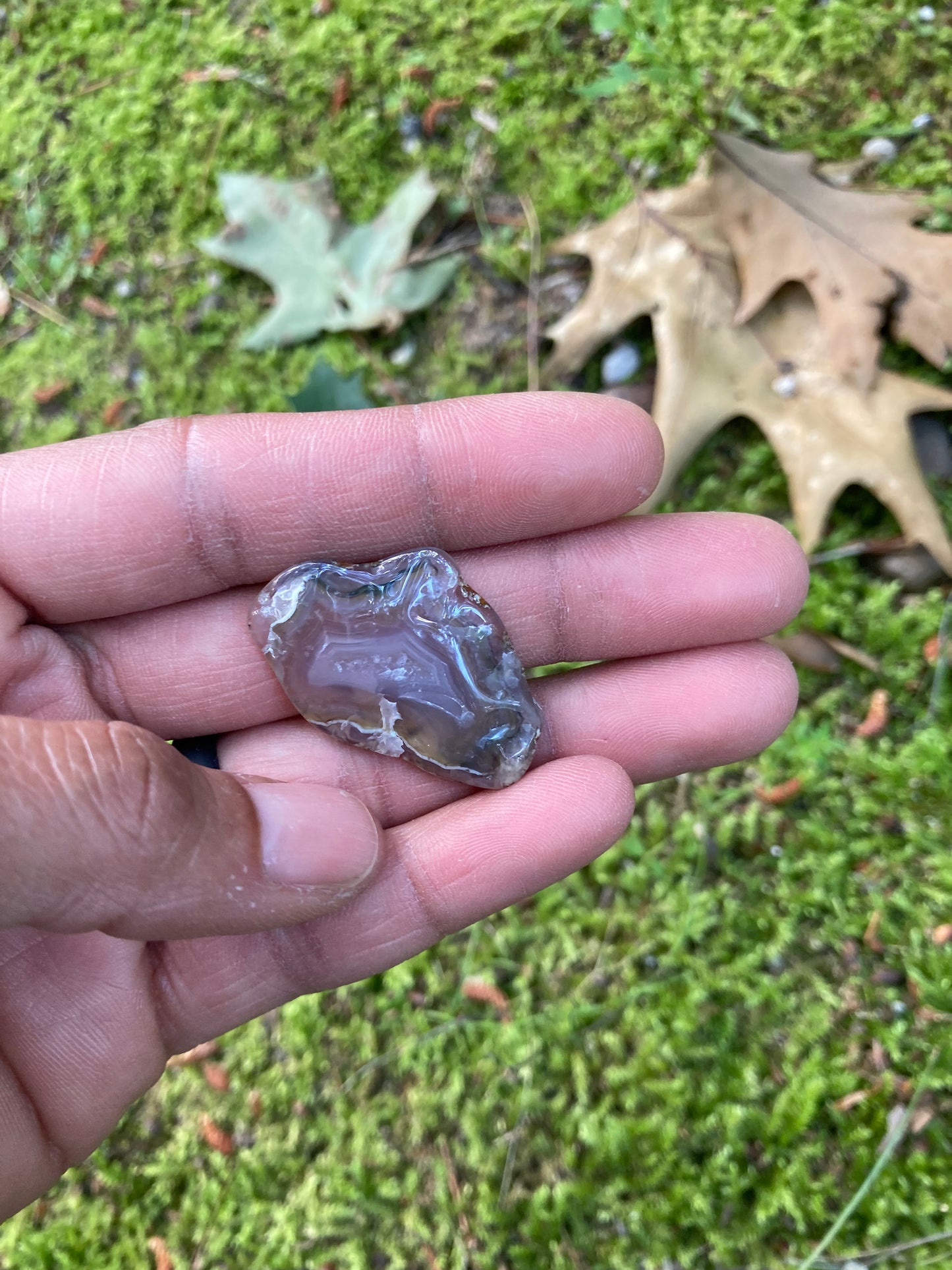 Mini Sliced Agua Nueva Agate