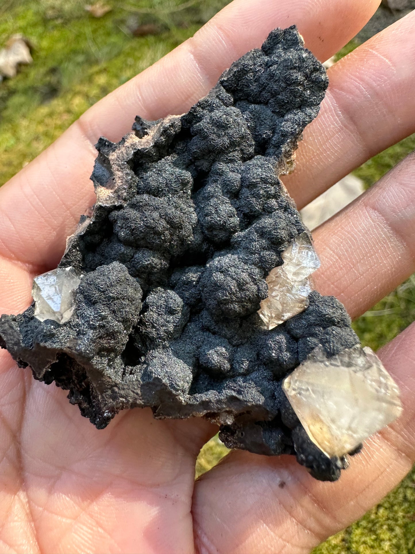 Botryoidal Goethite & Quartz