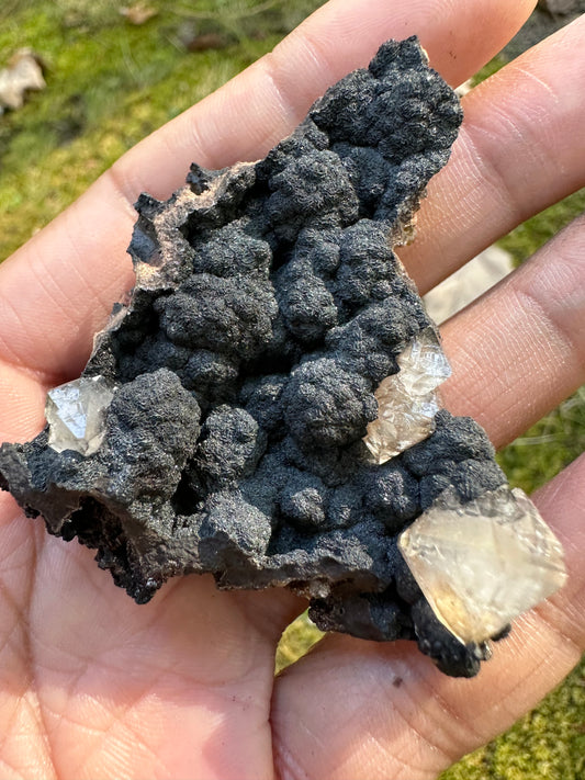 Botryoidal Goethite & Quartz