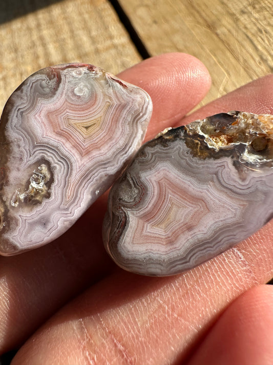 Polished Pink & Yellow Laguna Agate Pair