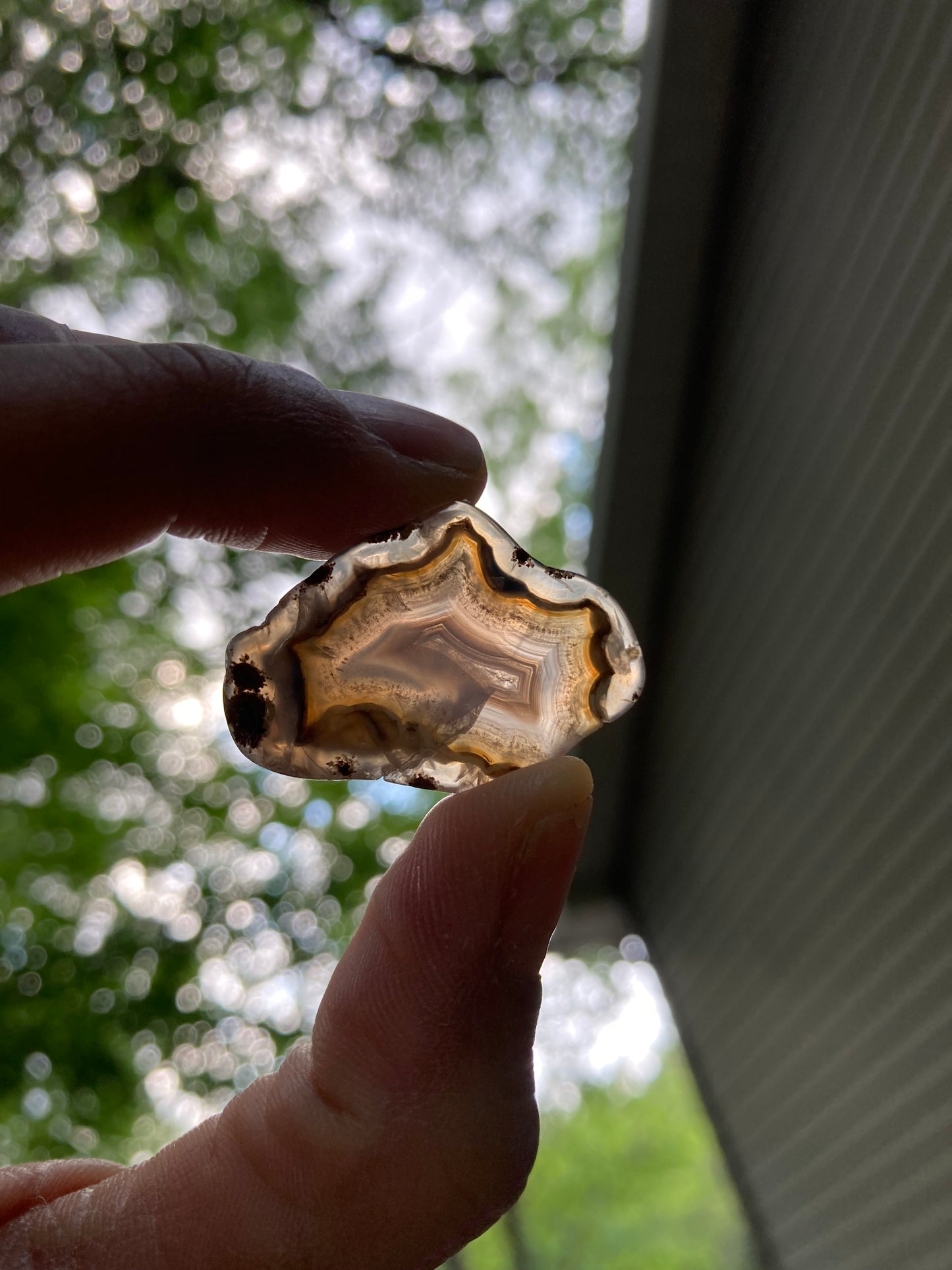Mini Sliced Agua Nueva Agate