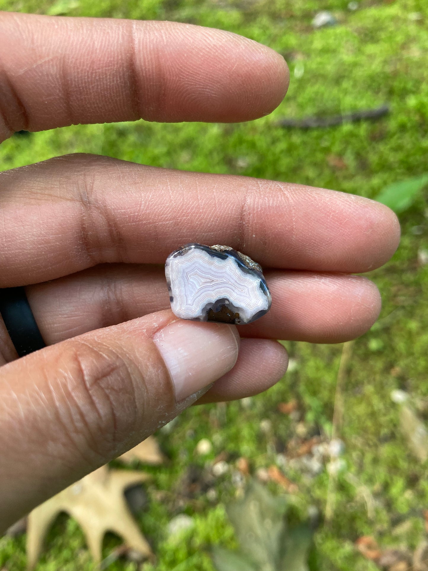 Polished Pink Laguna Agate With Eyes