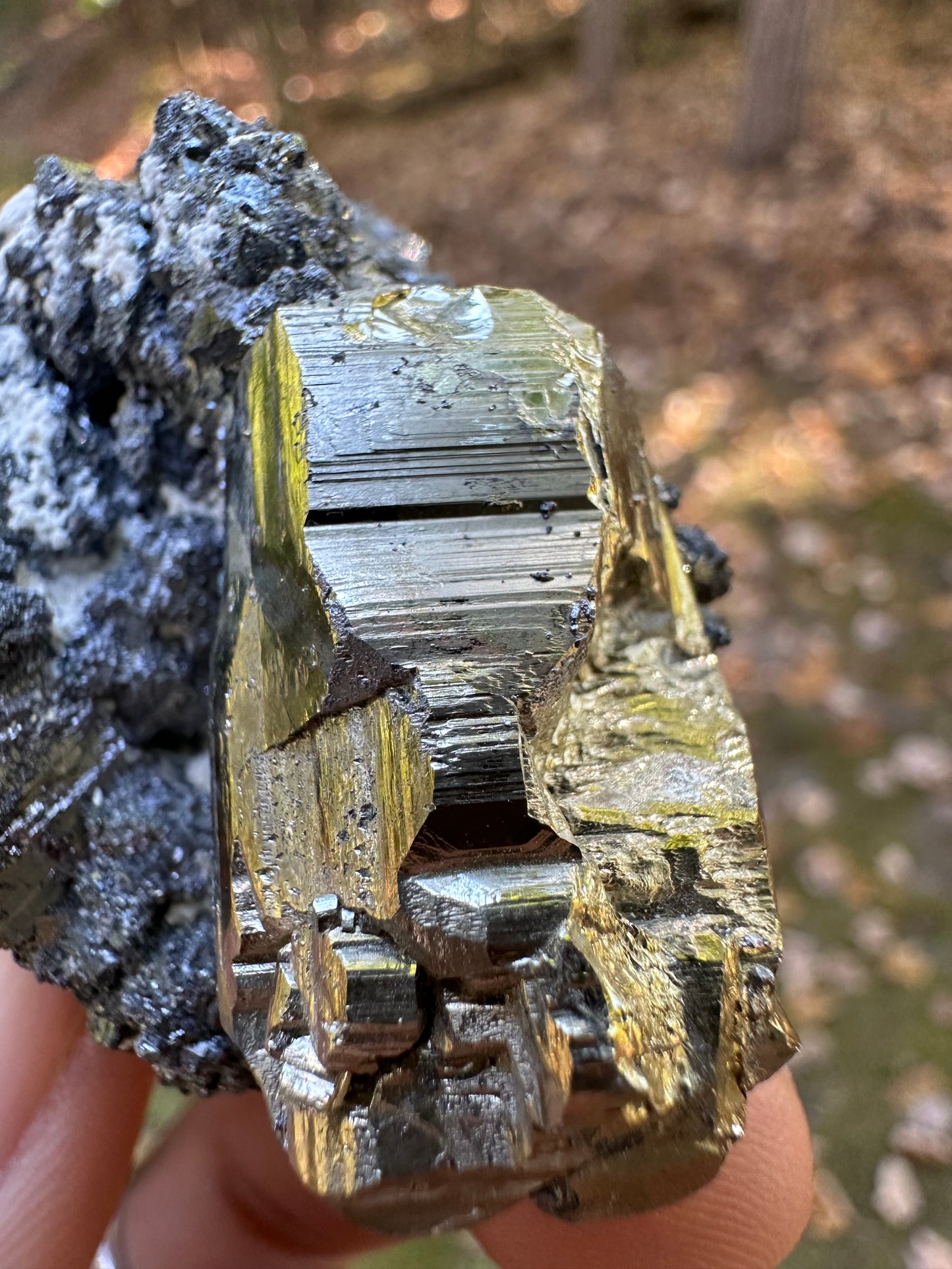 Pyrite Galena
