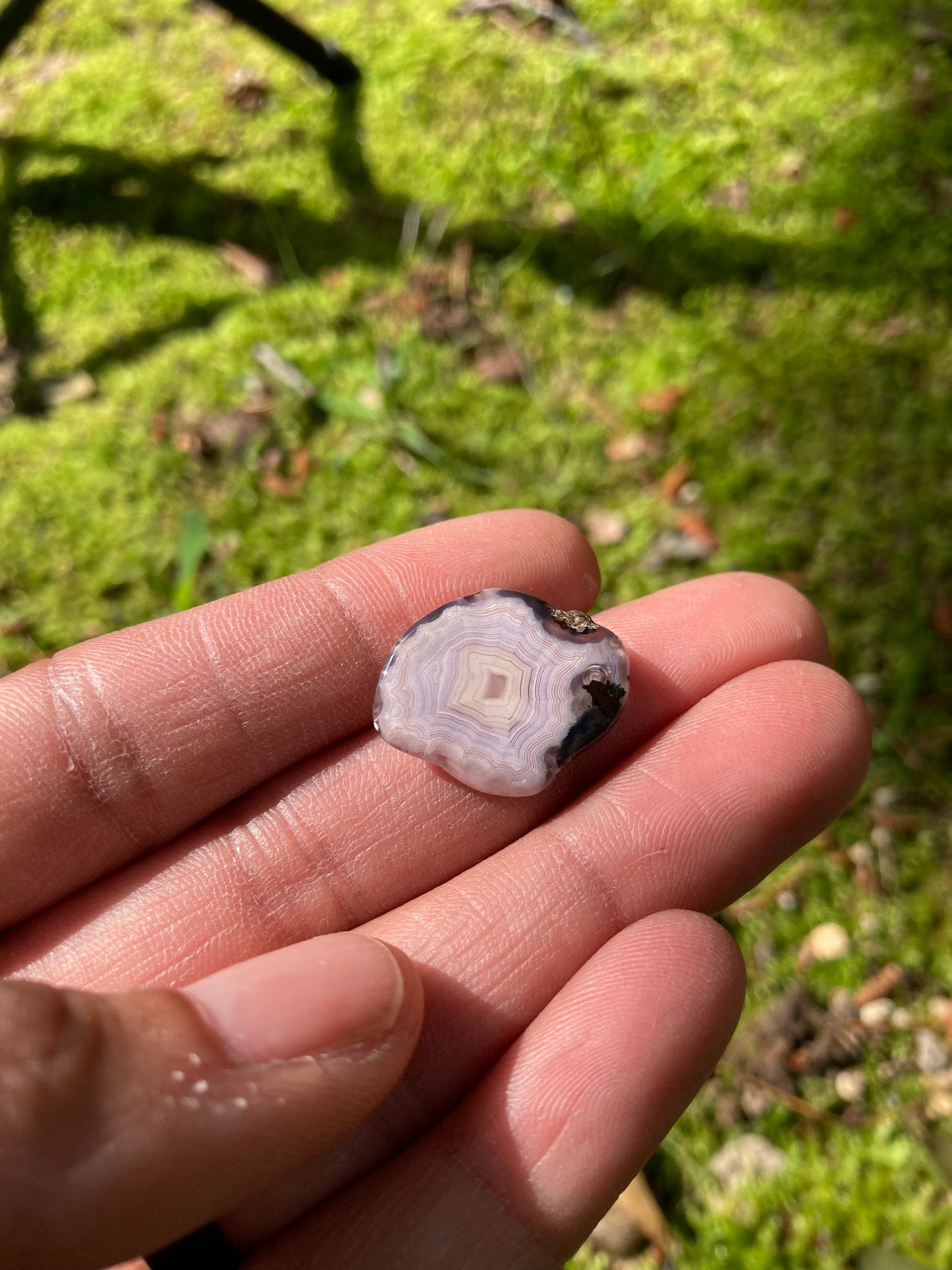 Polished Pink Laguna Agate With Eyes