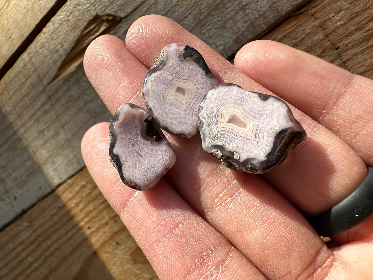 Polished Pink Laguna Agate With Eyes