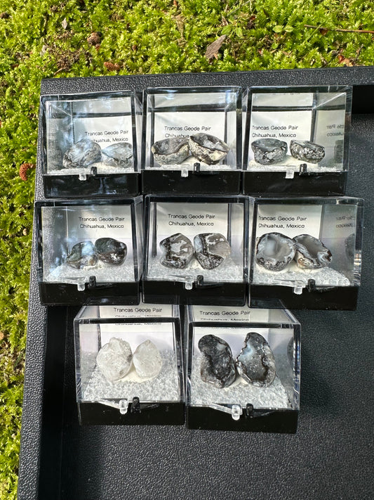 1 Micro Trancas Geode Pair Labeled & In Perky Box- Random Pick